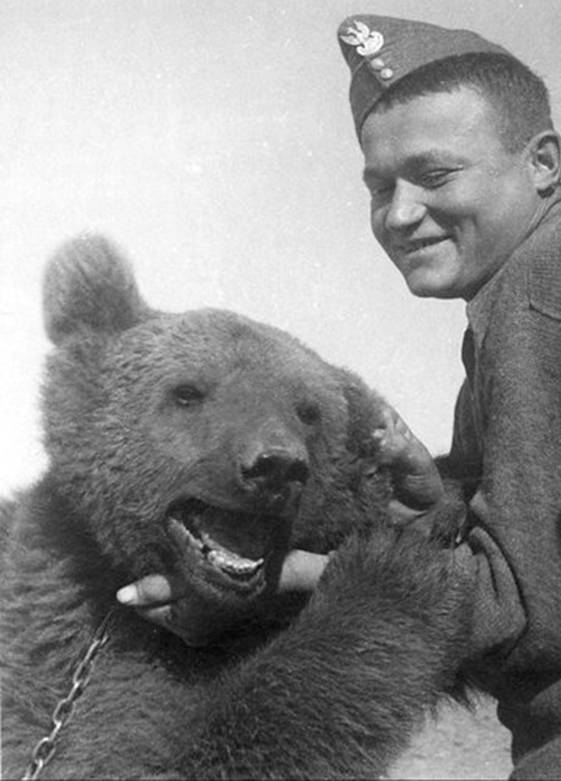 mis Wojtek